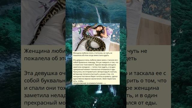 Женщина, которая любила спать с питоном, но почти пожалела об этом, когда змея стала худеть