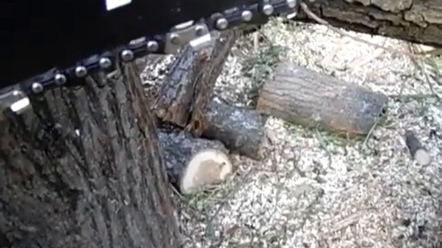 Как работает электропила на деле.