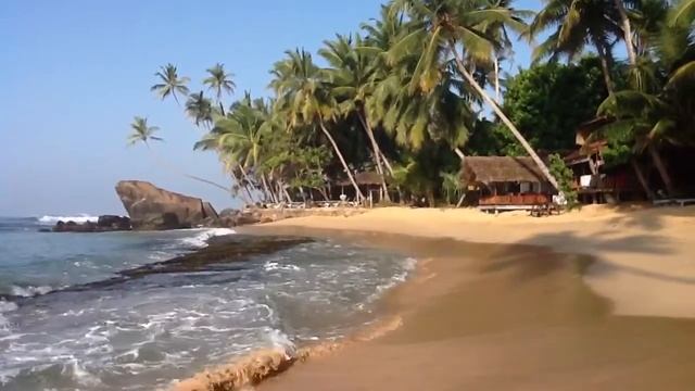 Boldenthor Unawatuna: beach, rock and palm trees смотреть онлайн