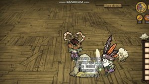 почти все о питомцах в дст