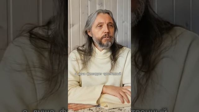 В чём разница души и сознания #виссарион #душа #сознание
