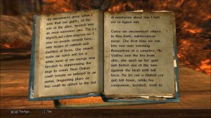 Let's Read The Butcher of Ark, Volume 6: The Silver Cloud (Let's Read the Books of Enderal, Book 75