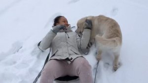 Золотистый Ретривер | ВЛОГ с 3.5 до 5 месяцев | Щенок Голден Ретривера