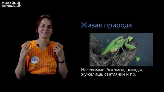 Субтропики. Видеоурок 9.3. Окружающий мир 4 класс смотреть онлайн