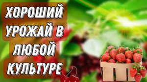 Хелат -ЭмЭко, влияние на черешню и калину, и не только.