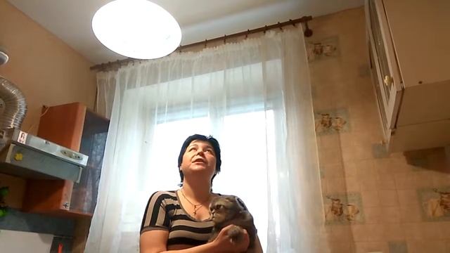 Отзыв о работе компании НП-Потолок. смотреть онлайн