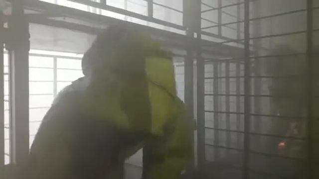 Выдвижение газоспасательного отделения к месту обнаружения пострадавшего