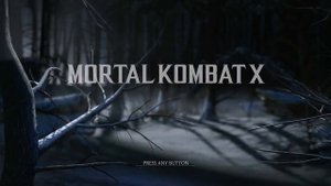 MORTAL KOMBAT X VS XL PS4 GAME PLAYERS 2021