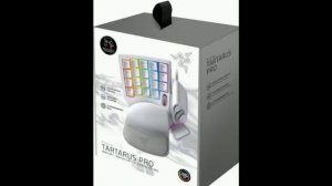 Игровая клавиатура Razer Tartarus Pro RZ07-03110200-R3M1 (Mercury)