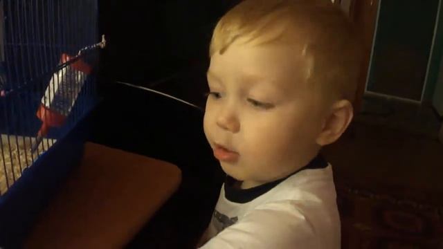 Маленький мальчик поет про любовь🙋