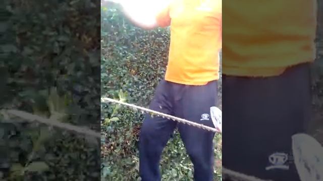 как правильно стричь кусты в германии смотреть онлайн