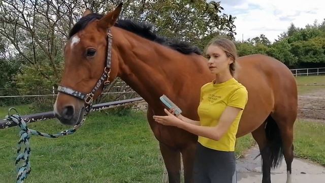 Metamorfoza Gardei! Unboxing i test paczki od Mustanga! смотреть онлайн