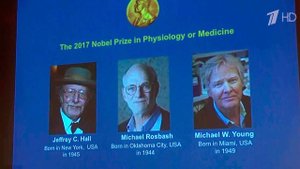 Нобелевская премия по медицине присуждена группе ученых из США