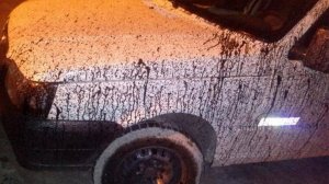 Чем очистить смолу(битум,гудрон,насекомых,почки) с кузова автомобиля