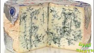 Голубая или белая плесень? - Сыр с Плесенью- Ценные белки и аминокислоты