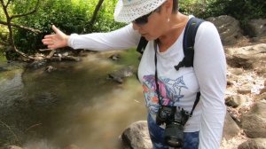 Поход по руслу горного ручья   ДЖАЛАБУН с водопадами.  ИЗРАИЛЬ на плато Голан  טיול למפלי נחל ג'לבו