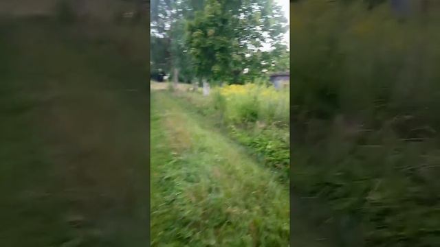 церковь казанской иконы Божей матери