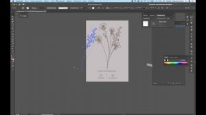 Перевод рисунка в вектор за 10 минут!