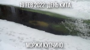 19 февраля 2022. ? Международный день китов.
Попрощались с тающей ледяной тумбой для ныряния. Артём