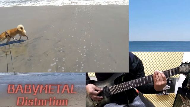 BABYMETAL - Distortion 【guitar cover】【柴犬】 смотреть онлайн