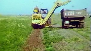 1988 год. Тюменский район. Уборка овощей в совхозах Туринский и Мальковский.