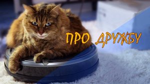 ПРО ДРУЖБУ