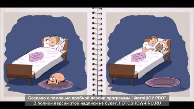 Отличие собак от кошек смотреть онлайн