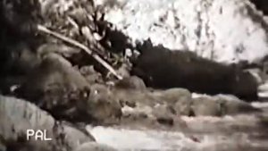 Кабулетти (1969)