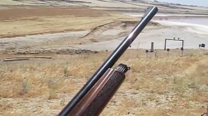 Стрельба пулей 12 калибра .Патрон "QARTAL" пуля "OZ KARA" Ружье АТА АРМС НЕО 12
