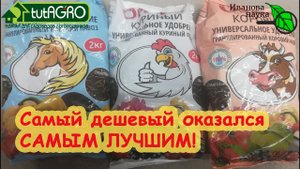 ВСЕ, ЧТО ВАЖНО ЗНАТЬ О ВЫБОРЕ ОРГАНИЧЕСКИХ УДОБРЕНИЙ! Иван Русских рекомендует для рассады!