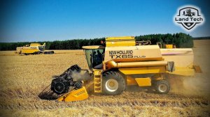 Старенькие комбайны New Holland TX65 Plus убирают пшеницу с урожайностью свыше 50 ц/га!