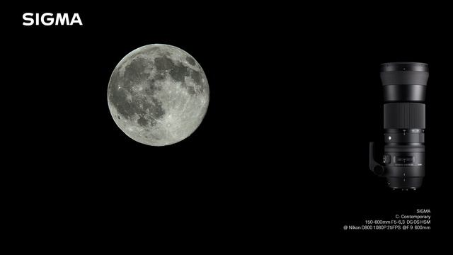 Sigma 150-600mm F5-6,3 C - Contemporary @Nikon D800 1080 P смотреть онлайн