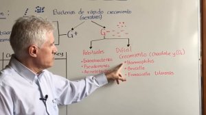 Cultivos en Microbiología Clínica. Dr Alejandro Macias.