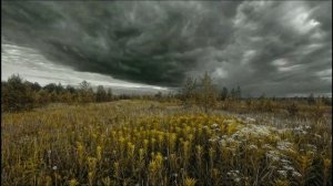 Моцарт-Фантазия