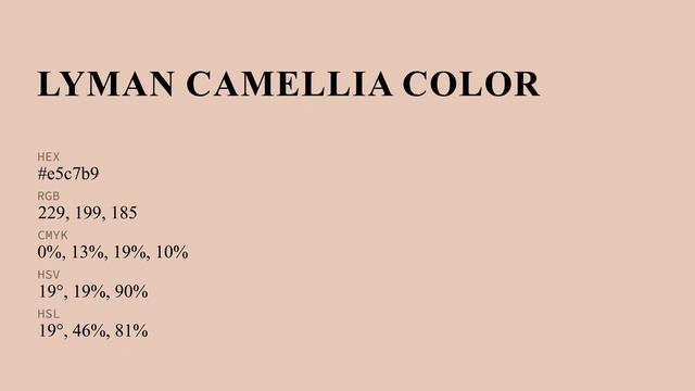 Lyman Camellia color #e5c7b9 hex color - Orange color - Cool color e5c7b9 смотреть онлайн