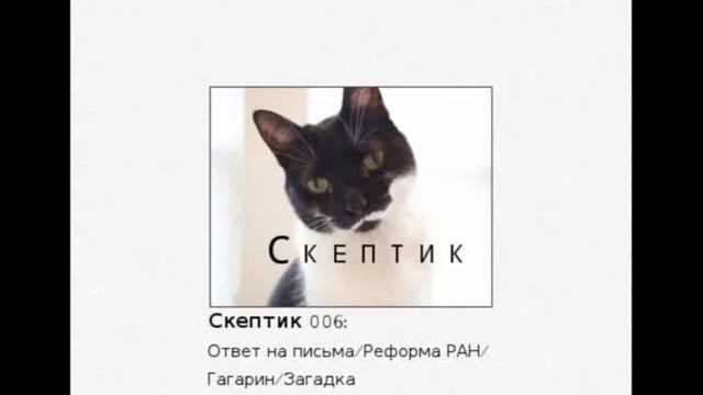 Скептик 006