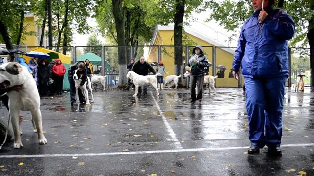 "Осенняя Легенда 2012", моно САО, г. Коломна смотреть онлайн