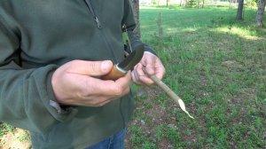 Roselli carpenter vs Mora pro C part2