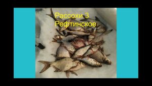Зимняя рыбалка Рассохи 3. Рефтинское 16.02.2024 год.