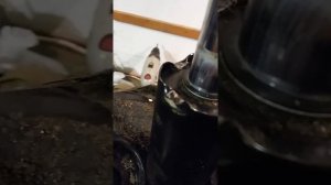Замена оригинальных поделок . Задние стойки Туксон