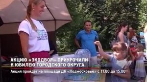 Акцию «Экодвор» приурочили к юбилею городского округа.