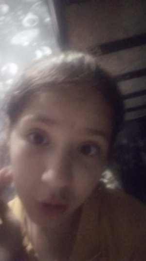 Я пришла домой