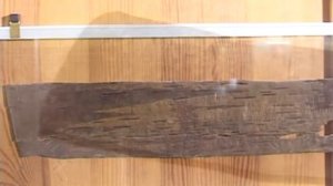 Берестяные грамоты Великого Новгорода.