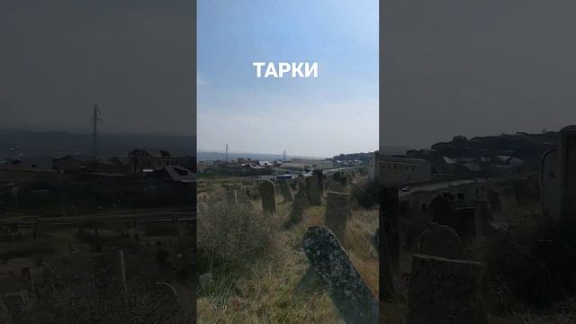 ТАРКИ. Махачкала Арслан Акаев