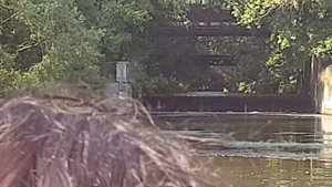 Ямаха 9,9/15 Лодка пвх Фрегат 430.  4 человека. По городу Красногорск