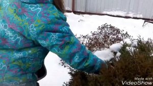 Клип для Мушуни !!!! " Попрошу тебя , чтобы солнце грело  "