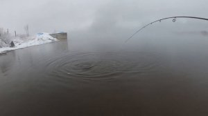 Тиляпия Поимка, На Спиннинг Trout Series(Ультра Лайт)