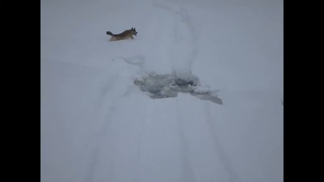 Река Летняя 2018 смотреть онлайн