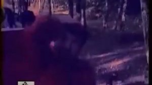 Бригада С  “Дорожная “