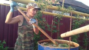 ЗАКВАСКА ПРОСТО " БОМБА " ГОТОВИМ ЗАКВАСКУ САМИ .КАК И ЧЕМ ПОДКОРМИТЬ РАСТЕНИЯ ?!